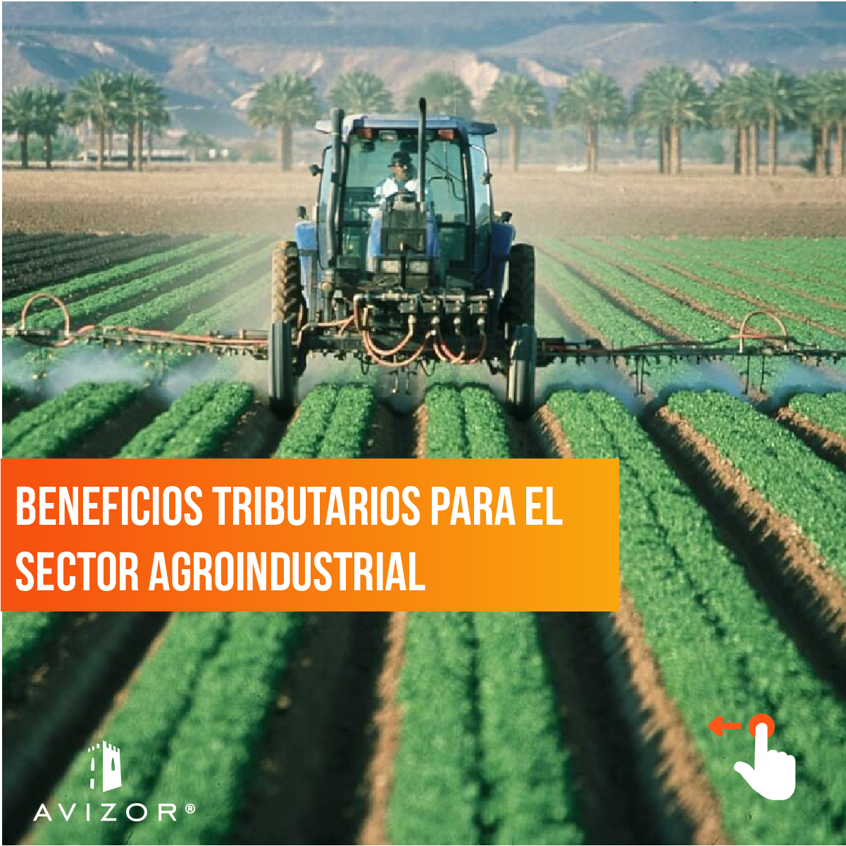 Beneficios tributarios del sector agroindustrial